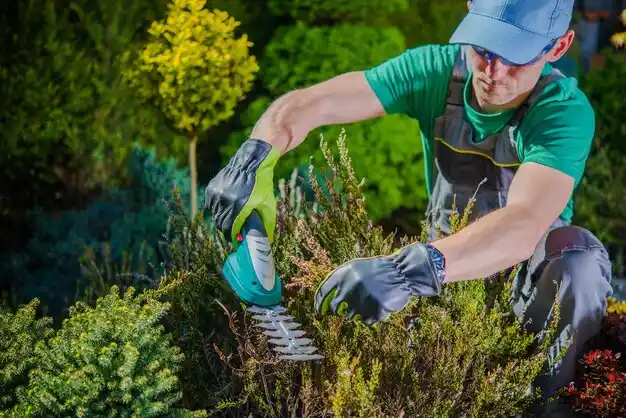 landscaping services Dryden